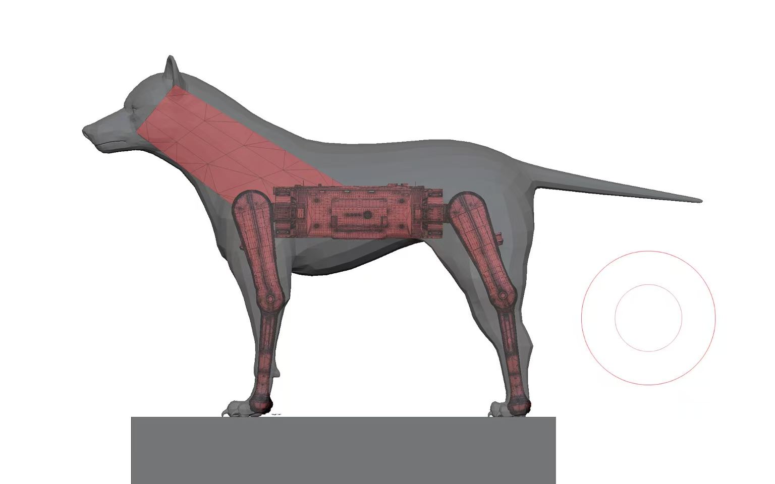 Biomechanical structure study